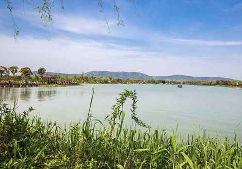 清明出游好去處 全國多景區免費開放，沙家浜成無錫游客優選